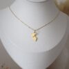 Collar mapa del Perú oro 18k